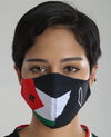 Palestine Face Mask